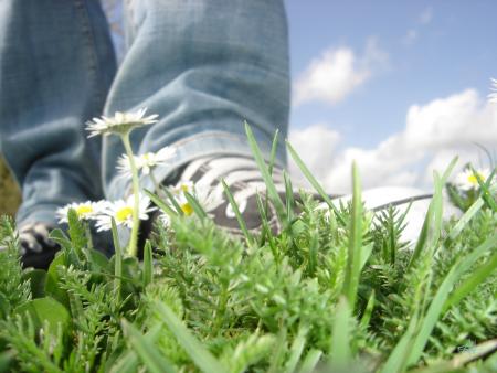 tite phOtO...